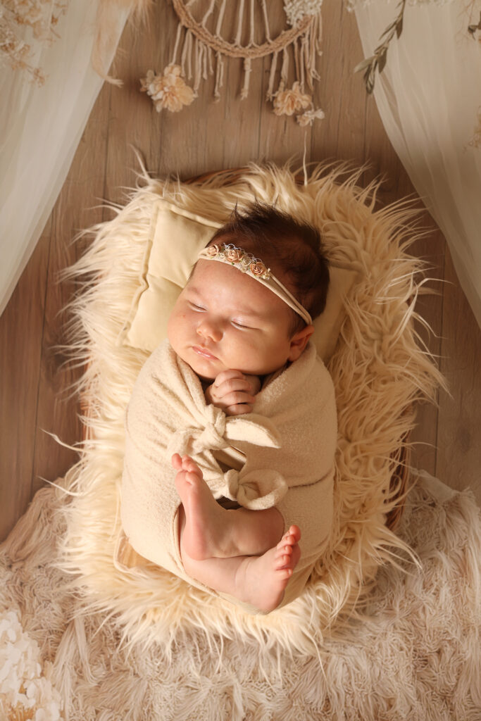 shooting naissance en drome
