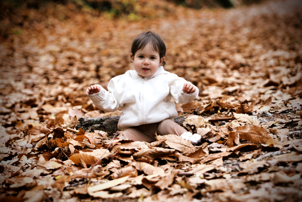 seance foret ardeche