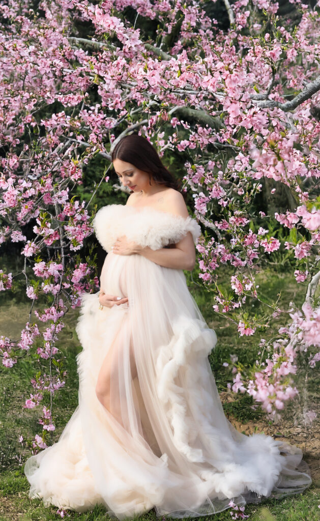 SEANCE PHOTO MONTELIMAR DANS LES CERISIERS